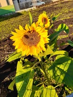 20191218_091321.jpg