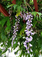20200510_153958.jpg
