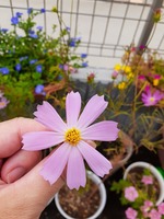 20200910_115053.jpg