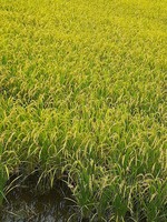 20200914_093402.jpg