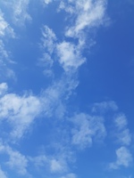 20201206_114414.jpg