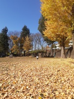 20201208_174314.jpg