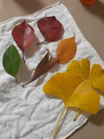 20201210_220847.jpg