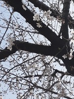 20210320_112034.jpg