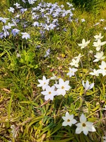 20210320_112400.jpg
