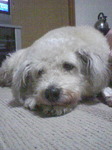 A0_0019.JPG