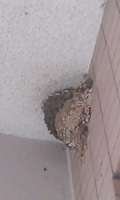 CA3D00990001.jpg