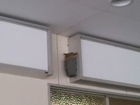 CA3D0101.jpg