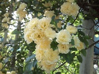 CA3D0139.jpg