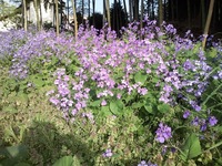 CA3D0140.jpg