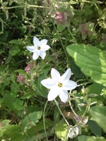 CA3D0143.jpg