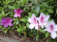 CA3D0144.jpg