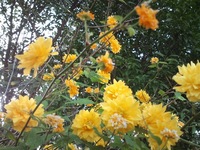 CA3D0145.jpg