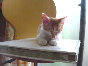 DSC00015.jpg