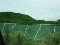 IMG_0040.JPG