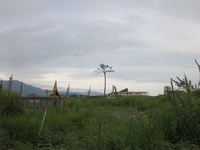 IMG_0067.JPG