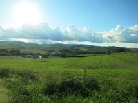 IMG_0325re.jpg
