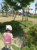 IMG_3275.jpg