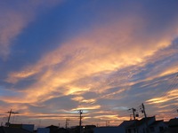 IMG_3319.JPG