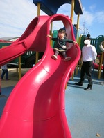 IMG_3592.jpg