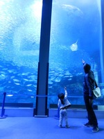 IMG_4044.JPG