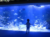 IMG_4071.JPG