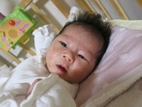 IMG_4477.JPG