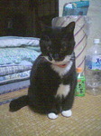 PA0_00020.JPG