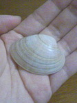 PA0_0025.JPG