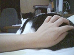 PA0_0033.JPG