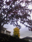 PA0_0117.JPG