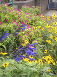 PA0_0548.JPG