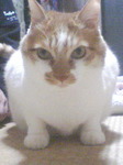 RA0_0023.JPG