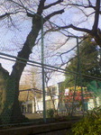 RA0_0033.JPG