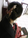 SH3B0001.JPG