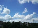 080831_1337~01001.JPG