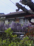 090418_1506~01.jpg