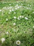 090418_1501~01.jpg