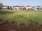 130405_1527~010001.jpg